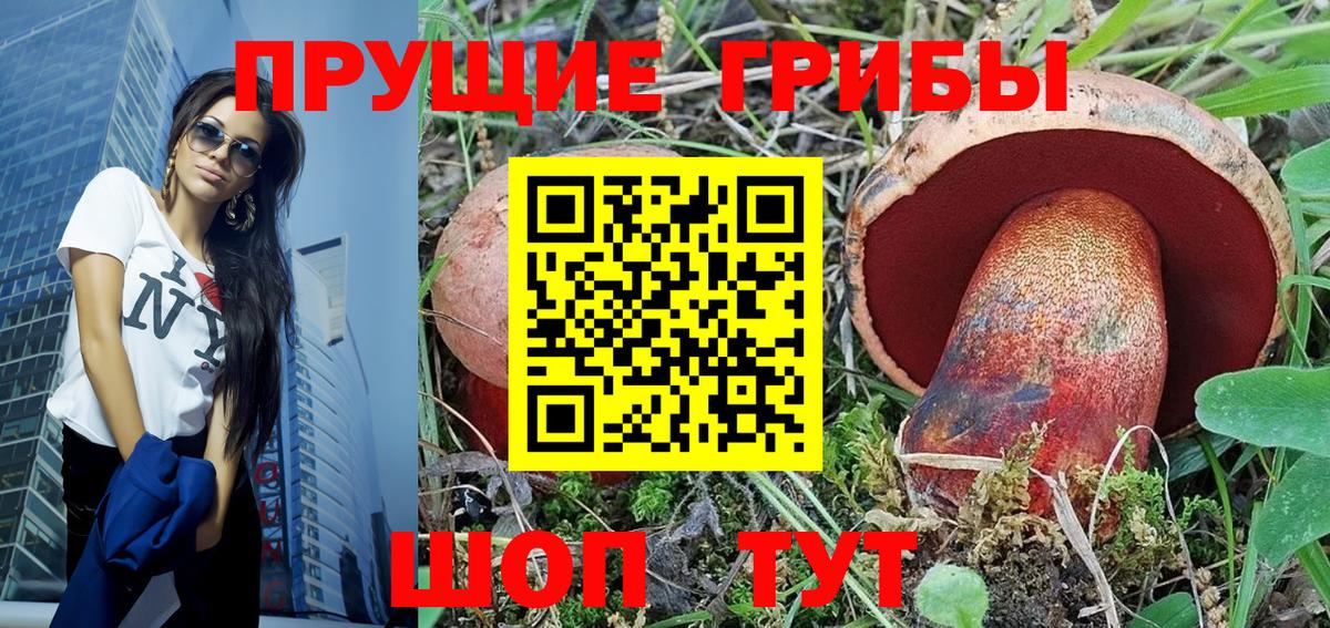 Псилоцибиновые грибы прущие грибы  Галлюциногенные грибы Psilocybine cubensis  где купить наркотик  Вход с VPN  Павлово 